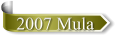 2007 Mula